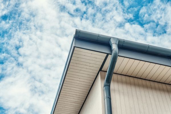 Gutter Fascia Repair in Mobile