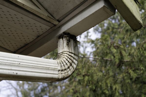 Cost of Roof Drain Replacement in Mobile